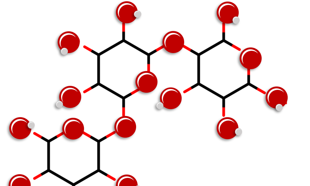 Macromoleculas